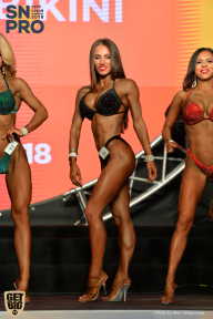 SN PRO EXPO - 2018