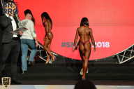SN PRO EXPO - 2018