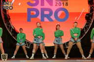 SN PRO EXPO - 2018