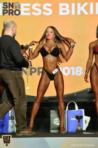 SN PRO EXPO - 2018