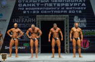Чемпионат Санкт-Петербурга по бодибилдингу - 2018