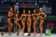 Чемпионат Санкт-Петербурга по бодибилдингу - 2018