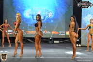Siberian Power Show - 2018