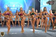 Siberian Power Show - 2018