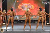Siberian Power Show - 2018