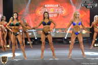 Siberian Power Show - 2018