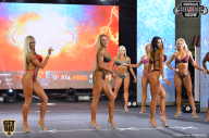Siberian Power Show - 2018