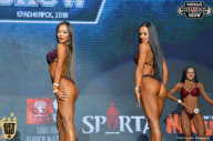 Siberian Power Show - 2018