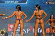 Siberian Power Show - 2018
