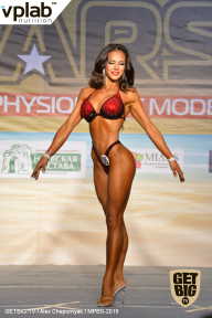 Men’s Physique & Bikini Stars - 2019