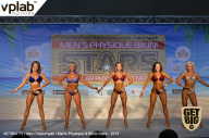 Men’s Physique & Bikini Stars - 2019