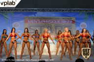 Men’s Physique & Bikini Stars - 2019