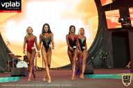 SN PRO EXPO - 2019