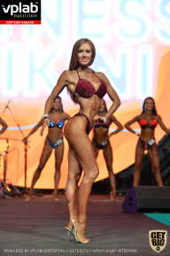 SN PRO EXPO - 2019