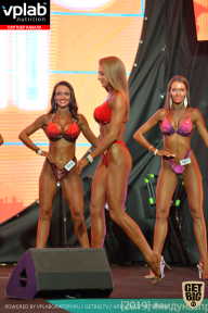 SN PRO EXPO - 2019