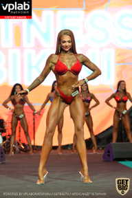 SN PRO EXPO - 2019