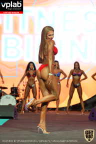 SN PRO EXPO - 2019