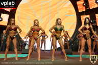 SN PRO EXPO - 2019