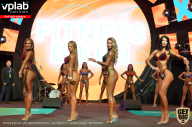 SN PRO EXPO - 2019