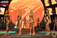 SN PRO EXPO - 2019