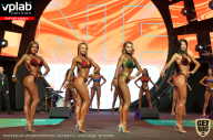 SN PRO EXPO - 2019