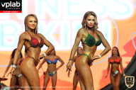 SN PRO EXPO - 2019