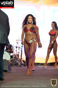 SN PRO EXPO - 2019