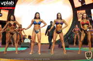 SN PRO EXPO - 2019
