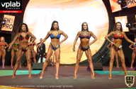 SN PRO EXPO - 2019