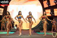 SN PRO EXPO - 2019
