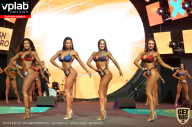 SN PRO EXPO - 2019