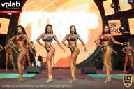 SN PRO EXPO - 2019