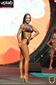 SN PRO EXPO - 2019