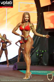 SN PRO EXPO - 2019