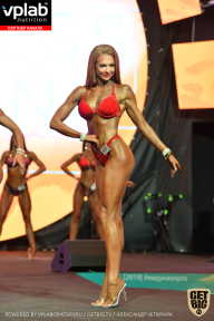 SN PRO EXPO - 2019