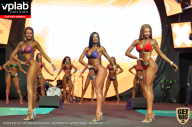 SN PRO EXPO - 2019