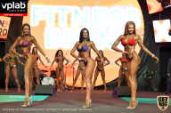 SN PRO EXPO - 2019