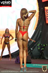 SN PRO EXPO - 2019