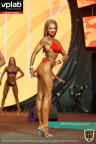SN PRO EXPO - 2019