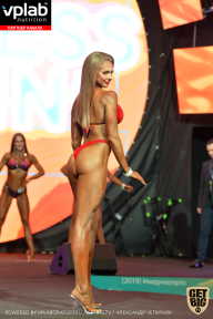 SN PRO EXPO - 2019