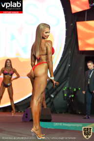 SN PRO EXPO - 2019
