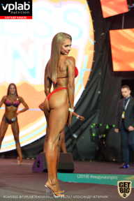 SN PRO EXPO - 2019