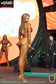 SN PRO EXPO - 2019