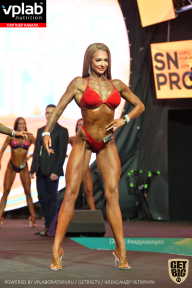SN PRO EXPO - 2019