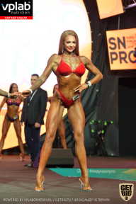 SN PRO EXPO - 2019