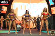 SN PRO EXPO - 2019