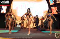 SN PRO EXPO - 2019