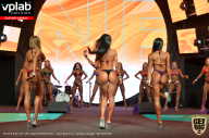 SN PRO EXPO - 2019