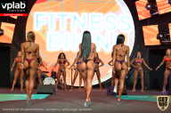 SN PRO EXPO - 2019
