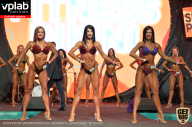 SN PRO EXPO - 2019